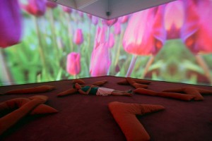 Pipilotti Rist and her work Lobe of the lung (Keystone)